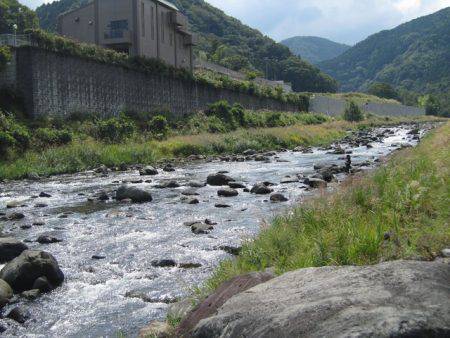 狩野川(狩野川漁業協同組合) 釣果