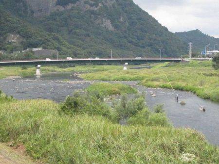 狩野川（狩野川漁業協同組合） 釣果