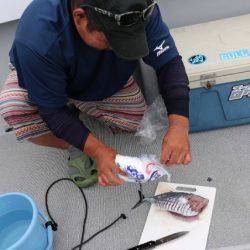 へいみつ丸 釣果