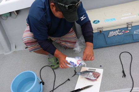 へいみつ丸 釣果