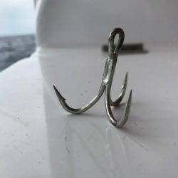 へいみつ丸 釣果