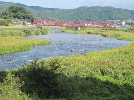 狩野川（狩野川漁業協同組合） 釣果