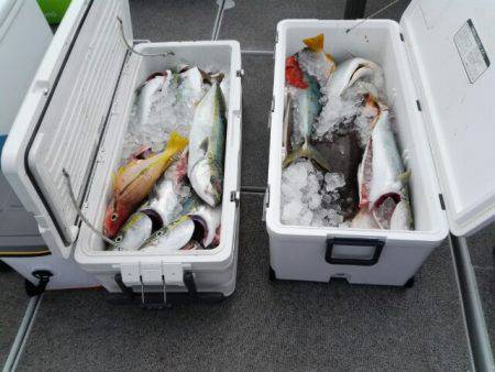 第二大福丸 釣果