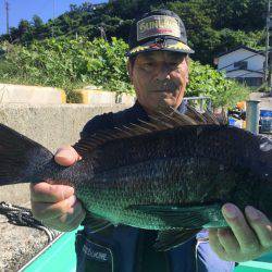 由良渡船 釣果