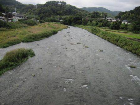 狩野川(狩野川漁業協同組合) 釣果
