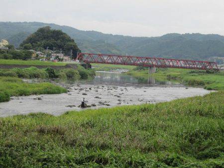 狩野川（狩野川漁業協同組合） 釣果