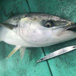 広進丸 釣果