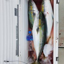 遊漁船　ニライカナイ 釣果