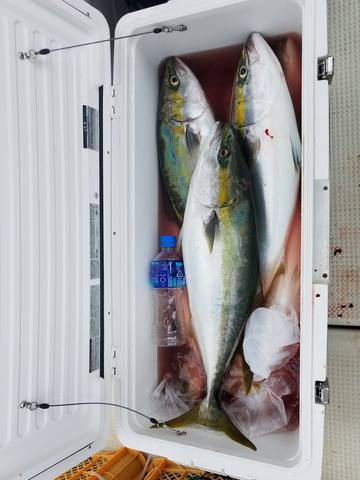 遊漁船　ニライカナイ 釣果