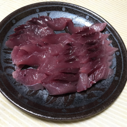 まると屋 釣果