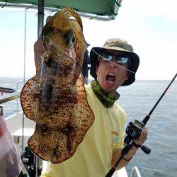 Magic（マジック） 釣果