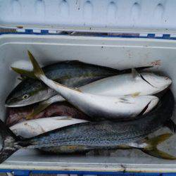 第二大福丸 釣果