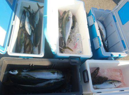 気仙沼 つり丸 釣果