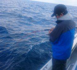 IDATEN(イダテン) 釣果