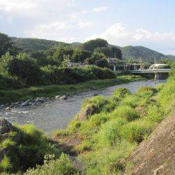 狩野川(狩野川漁業協同組合) 釣果