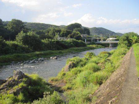 狩野川(狩野川漁業協同組合) 釣果