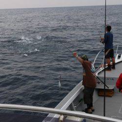 へいみつ丸 釣果