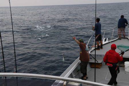 へいみつ丸 釣果