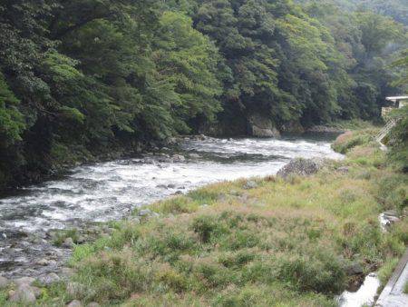 狩野川(狩野川漁業協同組合) 釣果