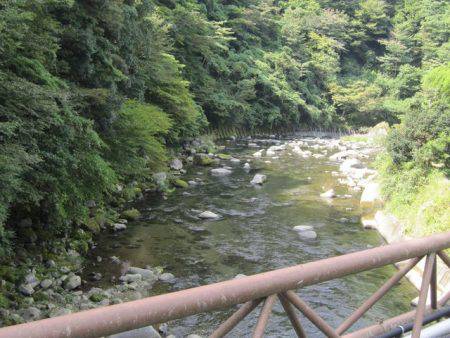 狩野川(狩野川漁業協同組合) 釣果