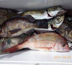 石川丸 釣果