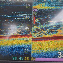 遊漁船 ニライカナイ 釣果