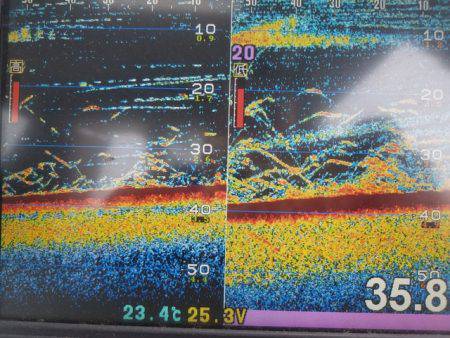 遊漁船 ニライカナイ 釣果