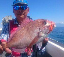 IDATEN(イダテン) 釣果