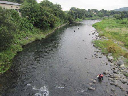 狩野川(狩野川漁業協同組合) 釣果
