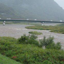 狩野川(狩野川漁業協同組合) 釣果