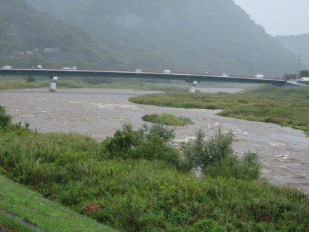 狩野川(狩野川漁業協同組合) 釣果