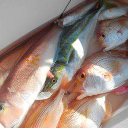 こうゆう丸 釣果