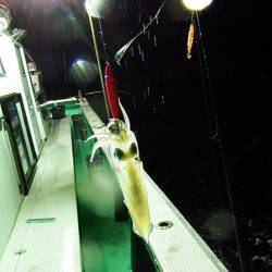 第三むつりょう丸 釣果