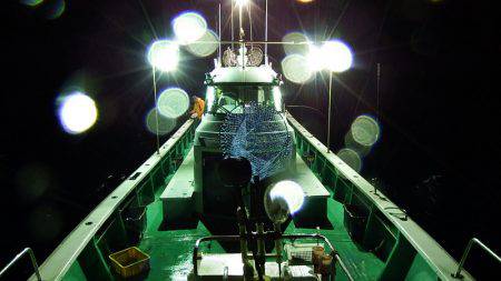 第三むつりょう丸 釣果