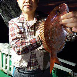 第三むつりょう丸 釣果