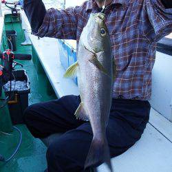 第三むつりょう丸 釣果