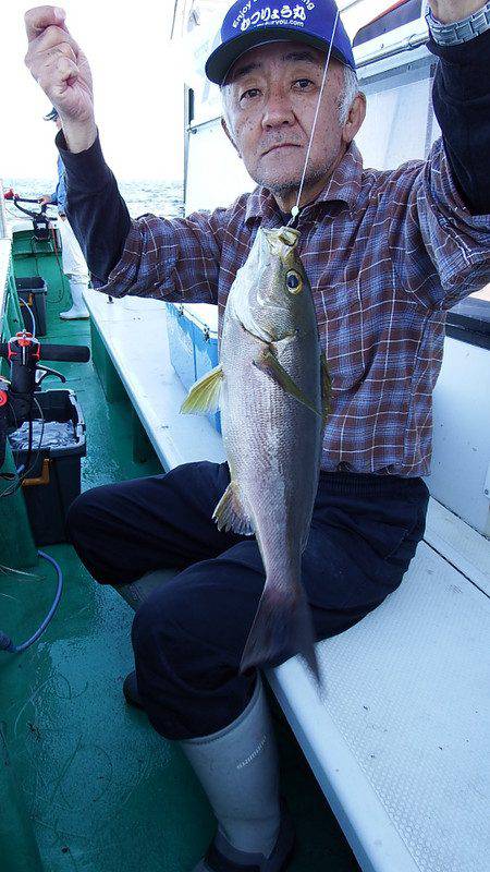 第三むつりょう丸 釣果