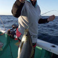 第三むつりょう丸 釣果