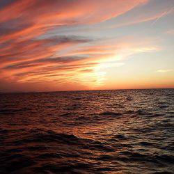 第三むつりょう丸 釣果