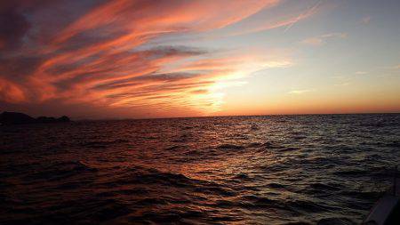 第三むつりょう丸 釣果