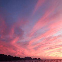 第三むつりょう丸 釣果