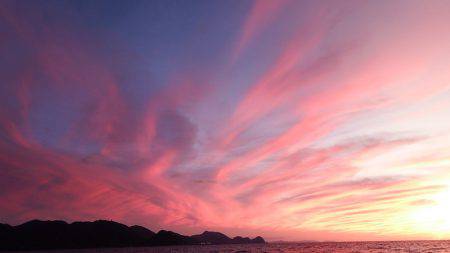 第三むつりょう丸 釣果