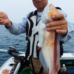 第三むつりょう丸 釣果