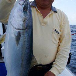 第三むつりょう丸 釣果