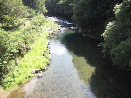 狩野川(狩野川漁業協同組合) 釣果