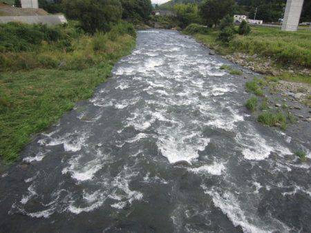 狩野川(狩野川漁業協同組合) 釣果