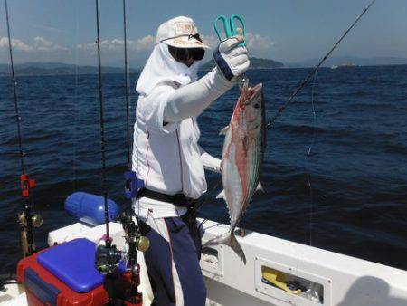 開進丸 釣果