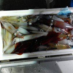 第二大福丸 釣果