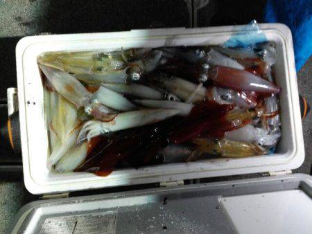 第二大福丸 釣果