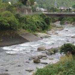 狩野川(狩野川漁業協同組合) 釣果